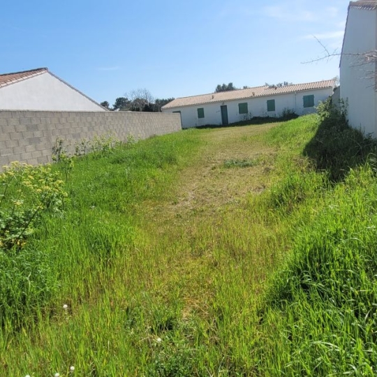  Marie-Paule GUILLEMET immobilier : Terrain | RIVEDOUX-PLAGE (17940) | 0 m2 | 735 000 € 